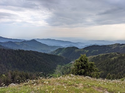 Dainkund Peak