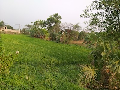 Monoharpur