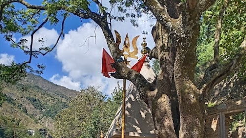 Bhadrakali Mata Mandir ?️?