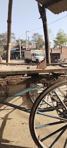 Khesari