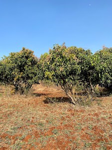 COMMUNA FARMS