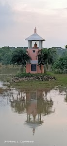 Swami Chidanand statue