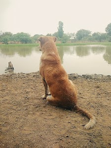 Raghavpura