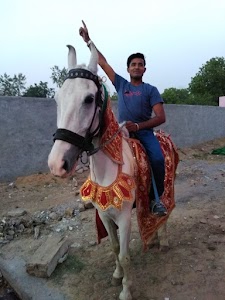 Lodhi Rajput Electronics