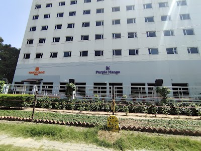 Mango Grove Hotel