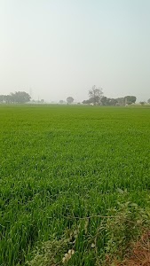 Ram Nagar