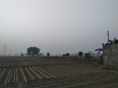 Majupur