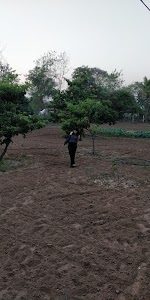 पागल बाबा आश्रम/पंचमुखी हनुमान मंदिर