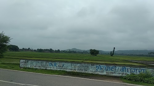 Pakardih