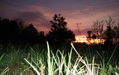 Wazidpur