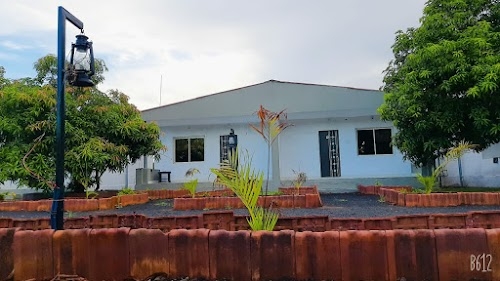 The Lion's Land Resort