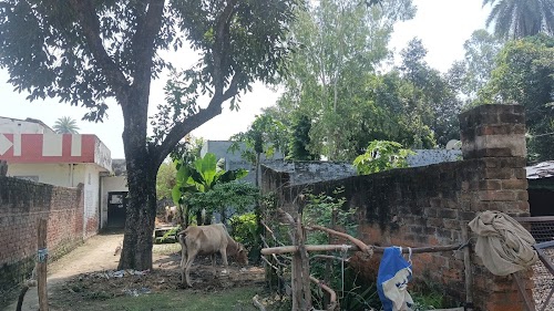 marriage lawn
