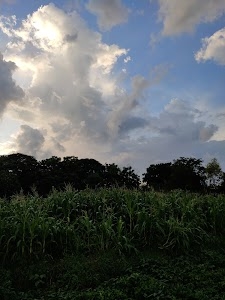 Badora Gaon