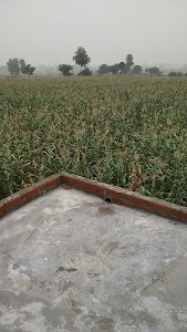 Ganga Naresh Tube Well Behta Javi