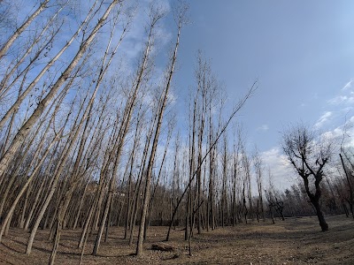 Baihama