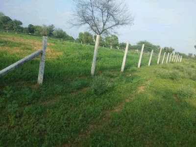 Dadar hills jaipur