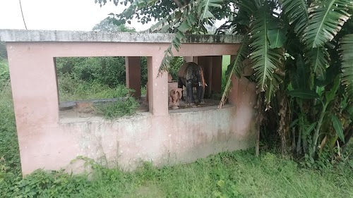 Kali Mata Mandir Sonhara
