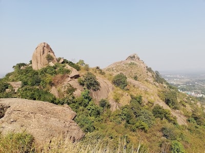 JOY CHANDI PAHAR TOP