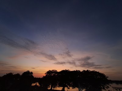 Amipura