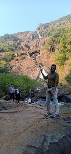 Mohsin M Malek