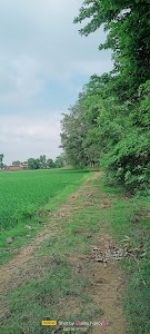 Indour