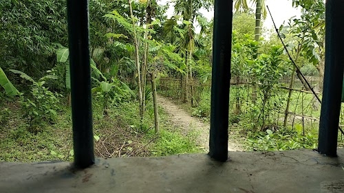 Amdanga Development Block