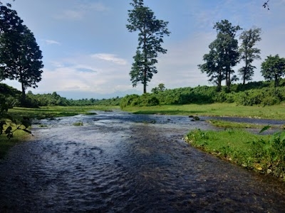 Totopara