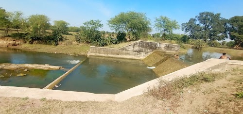 Pakariya Jhulan