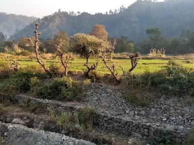 Malla