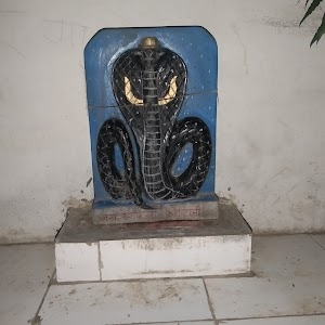 Krishna kirana store