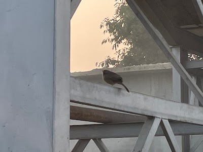 Dobhi station road