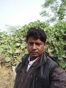 Dalpura