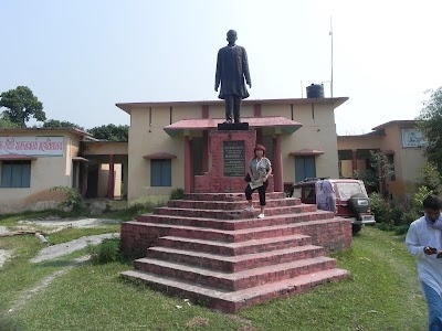 Mahatma Gandhi Shodh Sansthan