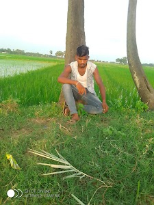 Bamhawar