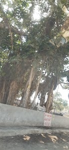Chandpura Rural