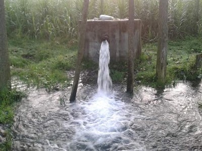 Rasoolpur Nawada, Industrial Area, Sector 62