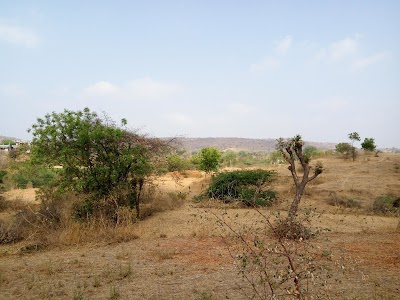 Kagda Mahuda