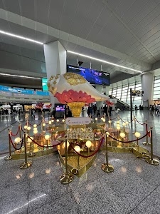 IGI Airport Terminal 3 Metro Station