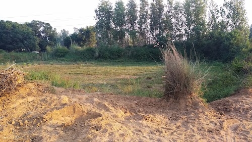 Bihta desert pond