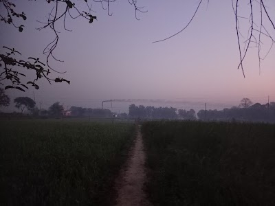 Jiapur Pul