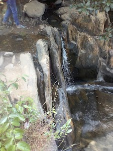 Dhangikusum