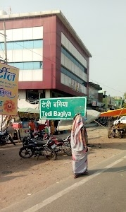 Tedi Bagiya