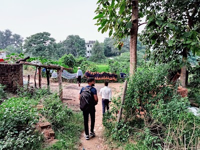 Banauli