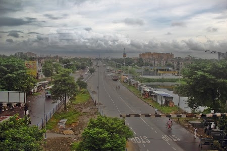 Patuli