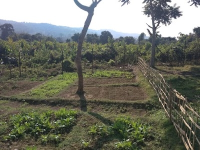 Linkhapani