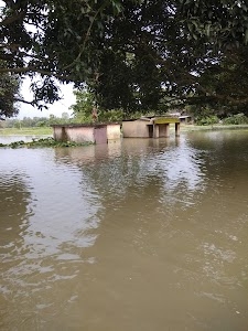 Chandrapara Primary School