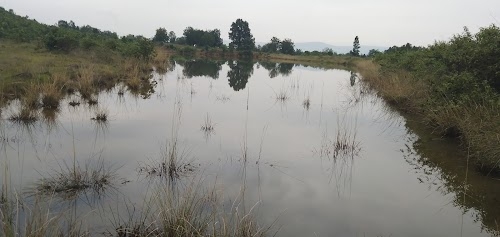 Calvary water fall