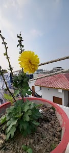 Vibhav Khand, Gomti Nagar