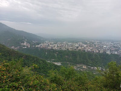 Purana Droorh