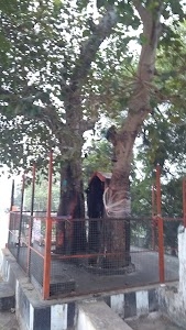 Shani Dev Mandir